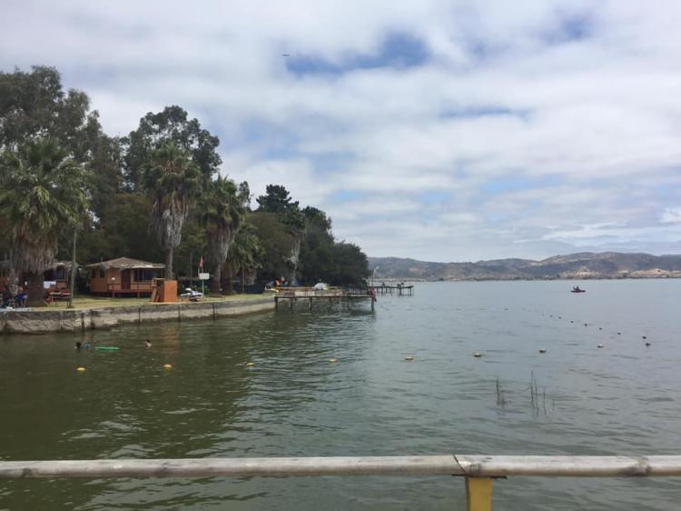 Fotografía 12 de Camping Naviocar en Las Cabras, Ohiggins