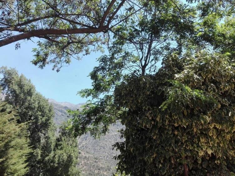 Fotografía 7 de Centro Campestre  Onde Monono en Lo Barnechea, Metropolitana