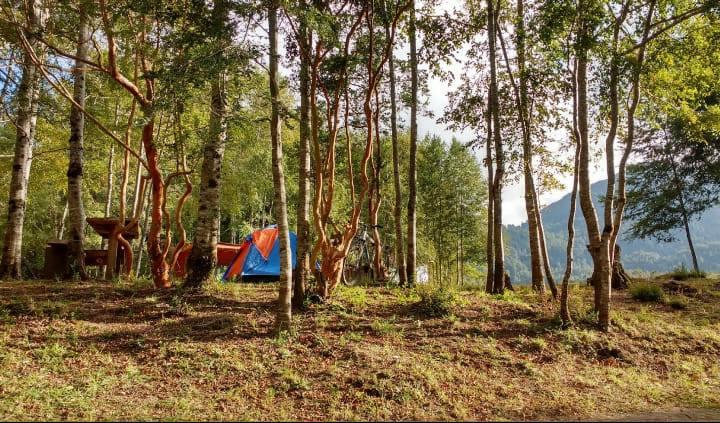 Fotografía 6 de Camping El Oasis de Rio Hueico en Panguipulli, Los Rios