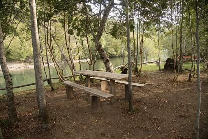 Fotografía 7 de Camping El Oasis de Rio Hueico en Panguipulli, Los Rios