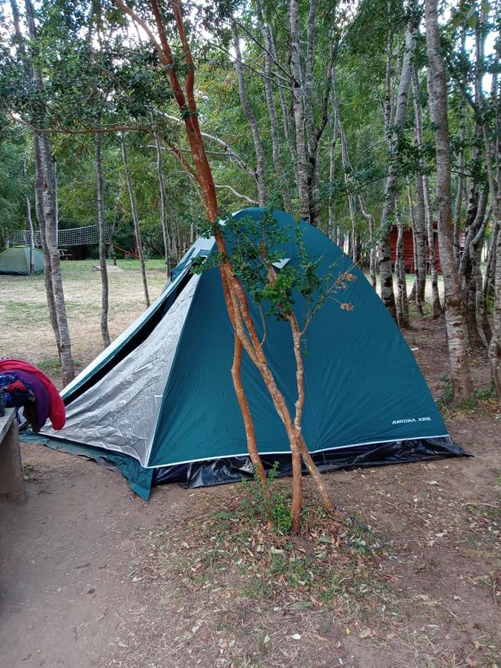 Fotografía 8 de Camping El Oasis de Rio Hueico en Panguipulli, Los Rios