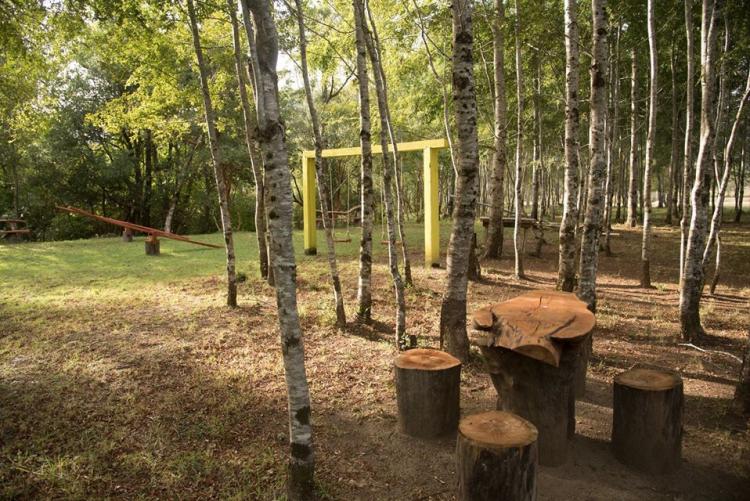 Fotografía 11 de Camping El Oasis de Rio Hueico en Panguipulli, Los Rios