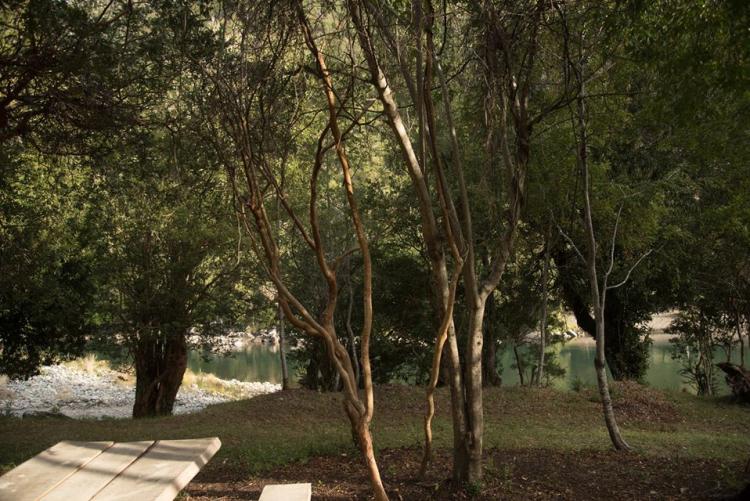 Fotografía 12 de Camping El Oasis de Rio Hueico en Panguipulli, Los Rios