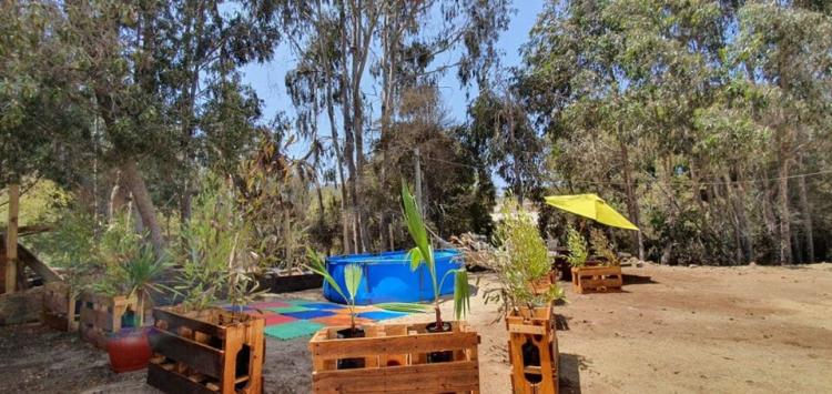 Fotografía 8 de Camping Samjulian en El Tabo, Valparaiso