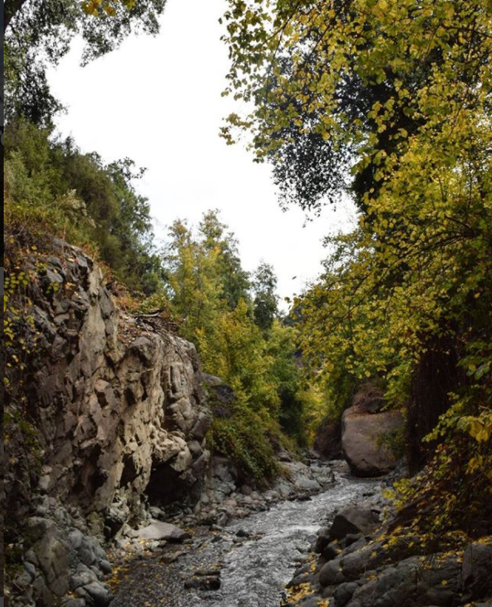 Fotografía 2 de Parque Natural Aguas de Ramon en La Reina, Metropolitana