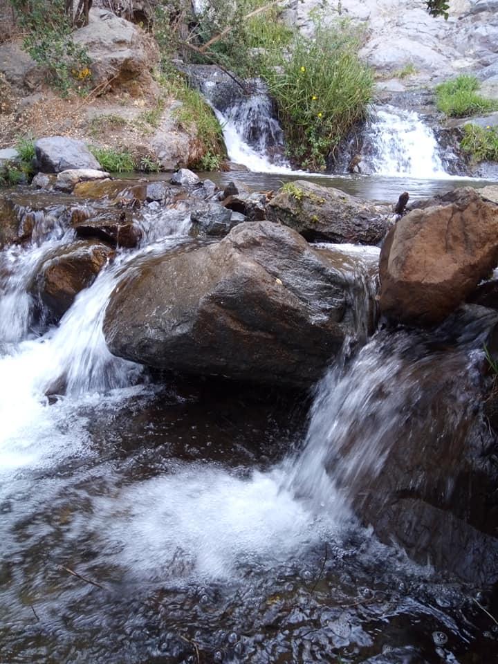 Fotografía 4 de Parque Natural Aguas de Ramon en La Reina, Metropolitana
