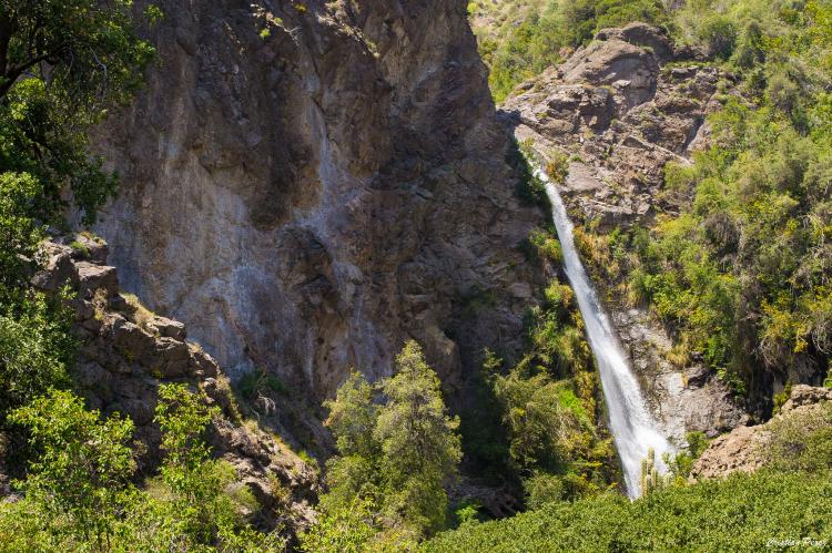 Fotografía 6 de Parque Natural Aguas de Ramon en La Reina, Metropolitana