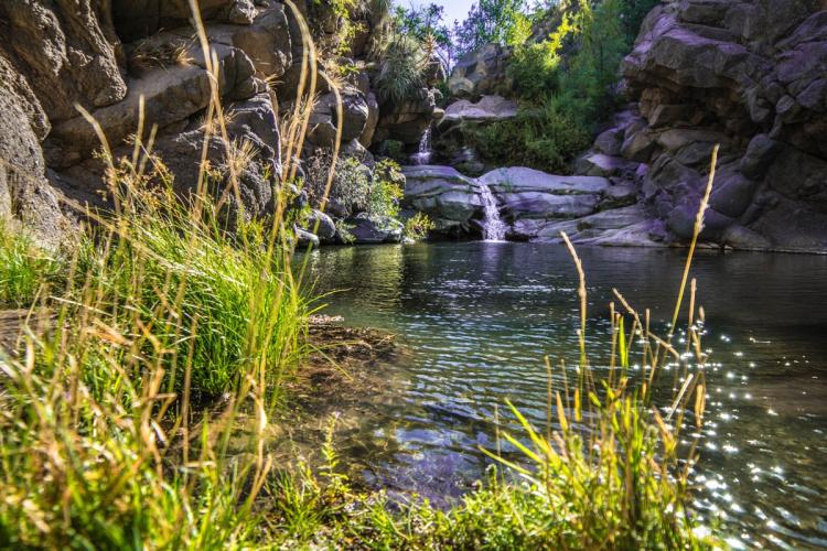 Fotografía 8 de Parque Natural Aguas de Ramon en La Reina, Metropolitana