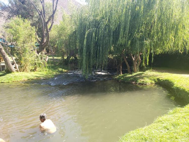 Fotografía 8 de Camping El Queñe en Salamanca, Coquimbo