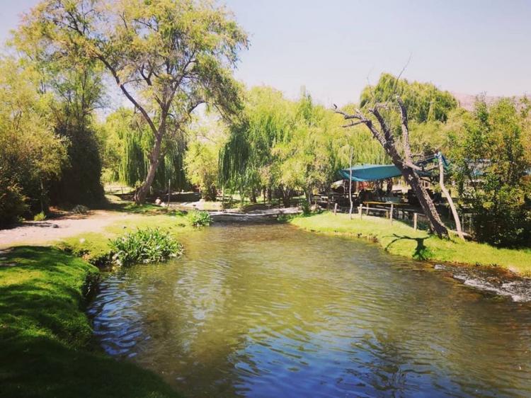 Fotografía 10 de Camping El Queñe en Salamanca, Coquimbo