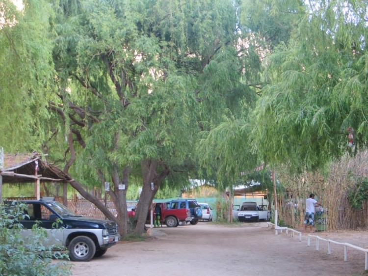 Fotografía 2 de Camping Familiar Lecho Nativo en Paihuano, Coquimbo