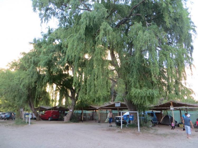 Fotografía 5 de Camping Familiar Lecho Nativo en Paihuano, Coquimbo