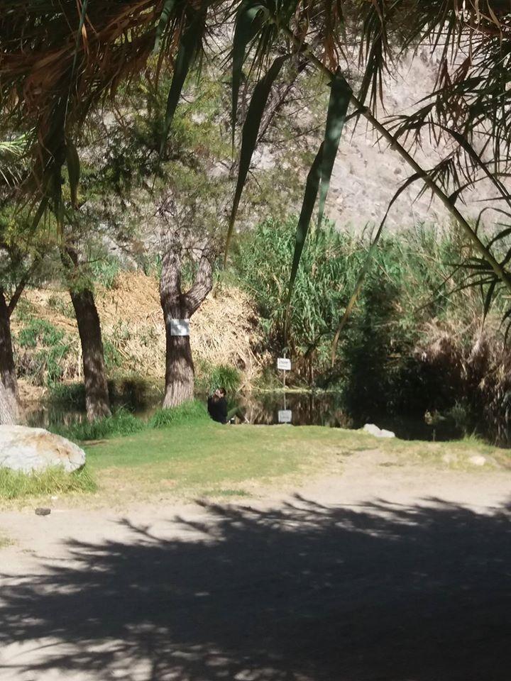 Fotografía 9 de Camping Familiar Lecho Nativo en Paihuano, Coquimbo