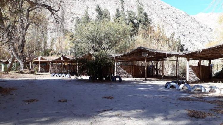 Fotografía 11 de Camping Familiar Lecho Nativo en Paihuano, Coquimbo