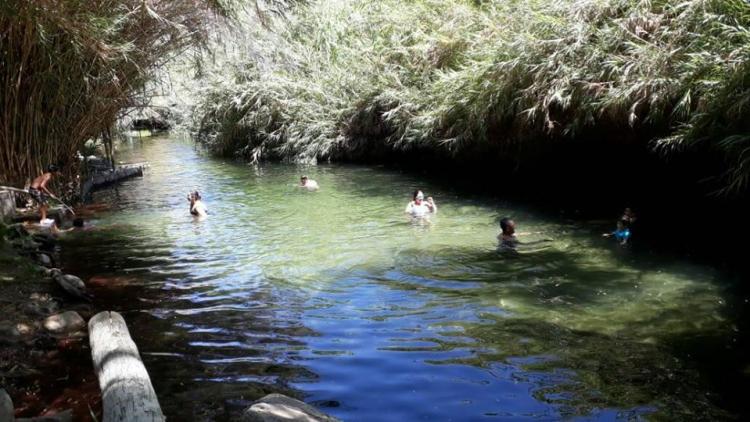 Fotografía 13 de Camping Familiar Lecho Nativo en Paihuano, Coquimbo