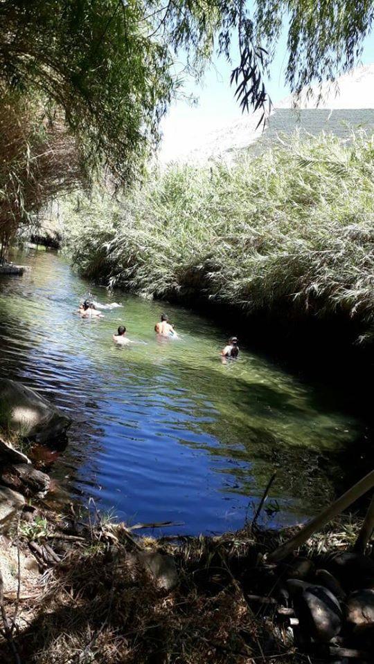 Fotografía 14 de Camping Familiar Lecho Nativo en Paihuano, Coquimbo
