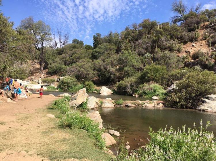 Fotografía 8 de Turismo rural Los Alamos en Quilpue, Valparaiso