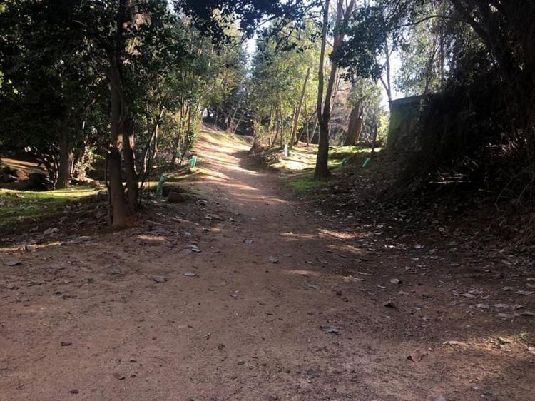 Fotografía 19 de Turismo rural Los Alamos en Quilpue, Valparaiso
