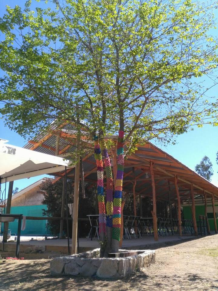 Fotografía 8 de Camping Huillanco en Punitaqui, Coquimbo