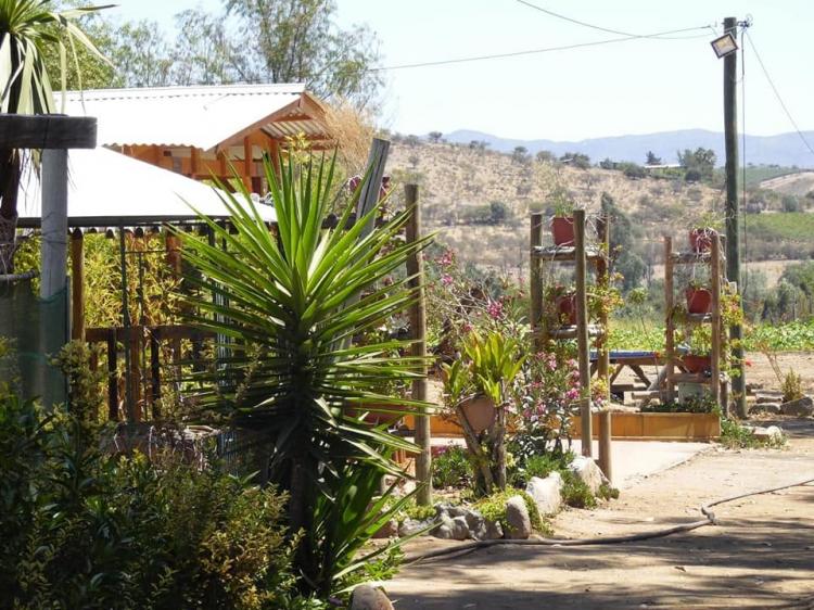 Fotografía 11 de Camping Huillanco en Punitaqui, Coquimbo
