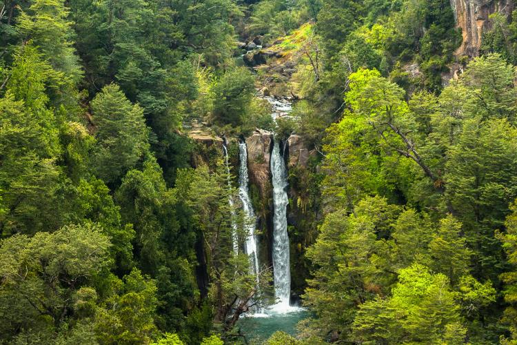 Fotografía 4 de Nothofagus Glamping en Curico, Maule
