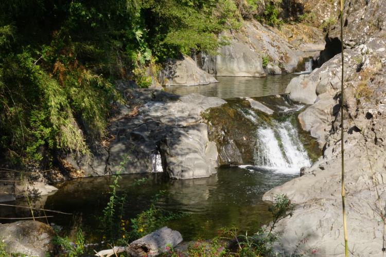 Fotografía 6 de Nothofagus Glamping en Curico, Maule