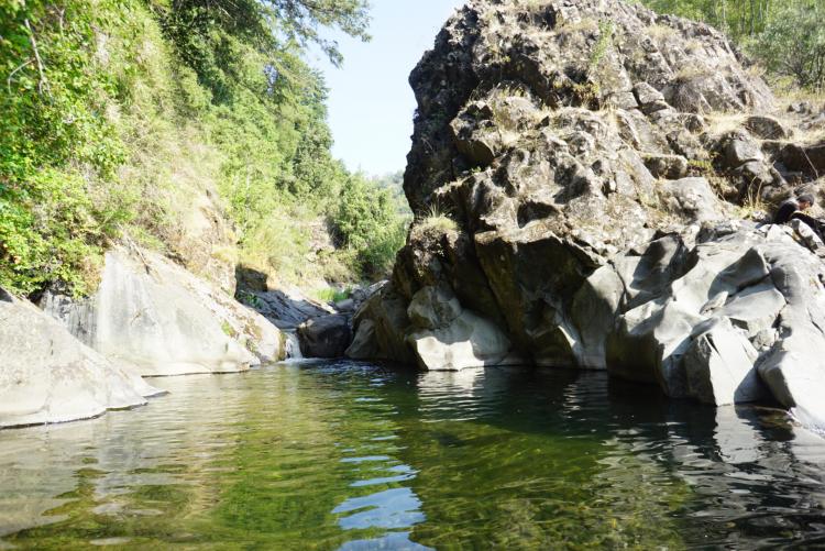 Fotografía 7 de Nothofagus Glamping en Curico, Maule