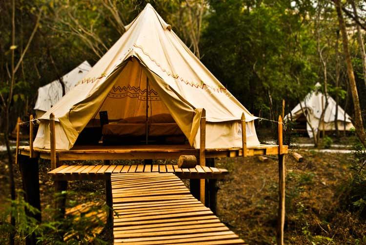 Nothofagus Glamping en Curico, Maule