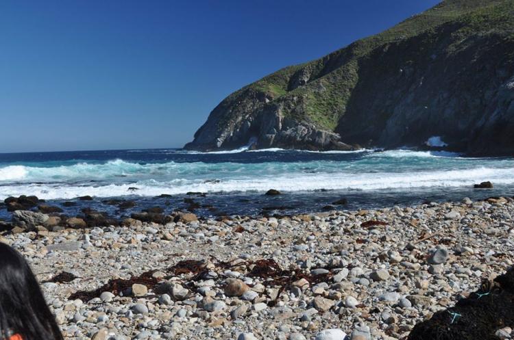 Fotografía 3 de Camping Puerto Oscuro en Canela, Coquimbo