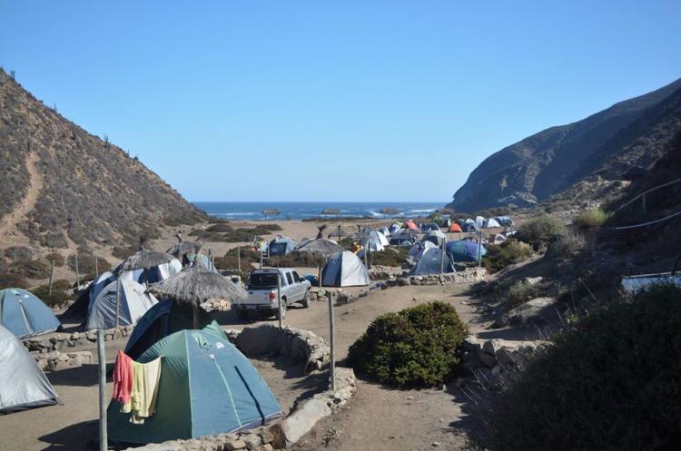 Fotografía 4 de Camping Puerto Oscuro en Canela, Coquimbo