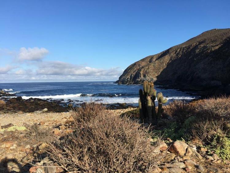 Fotografía 6 de Camping Puerto Oscuro en Canela, Coquimbo