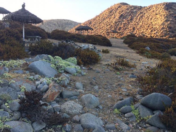 Fotografía 9 de Camping Puerto Oscuro en Canela, Coquimbo
