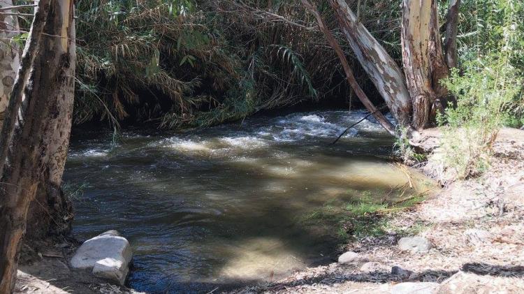 Fotografía 6 de Camping Aguas Claras en Paihuano, Coquimbo