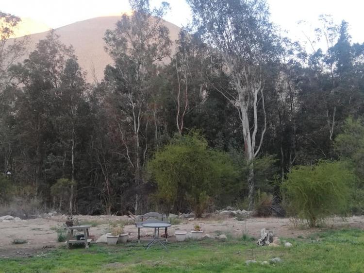 Fotografía 7 de Camping Aguas Claras en Paihuano, Coquimbo