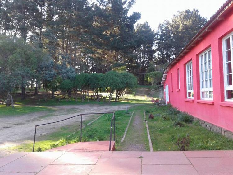 Fotografía 9 de Camping Casa Joc Quisco en El Quisco, Valparaiso