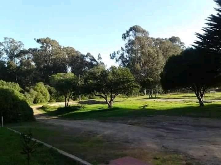 Fotografía 14 de Camping Casa Joc Quisco en El Quisco, Valparaiso