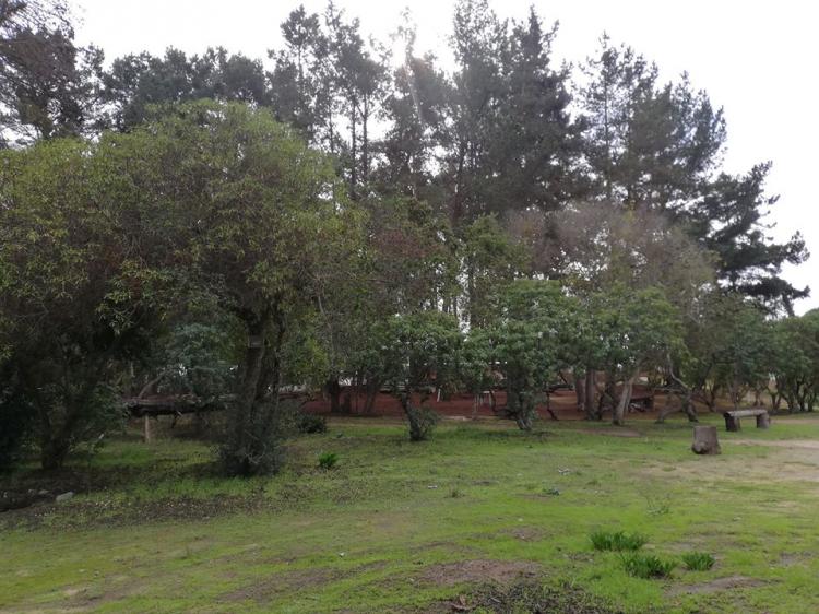 Fotografía 17 de Camping Casa Joc Quisco en El Quisco, Valparaiso