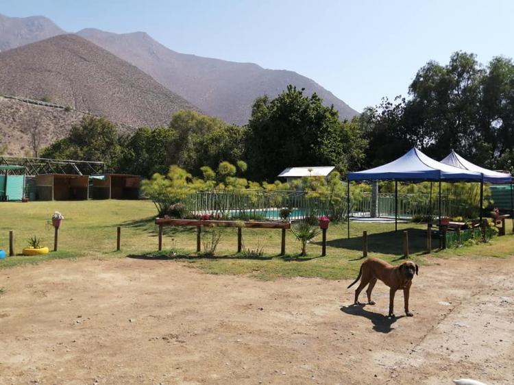 Fotografía 6 de Cámping jah-jireh en Vicuña, Coquimbo