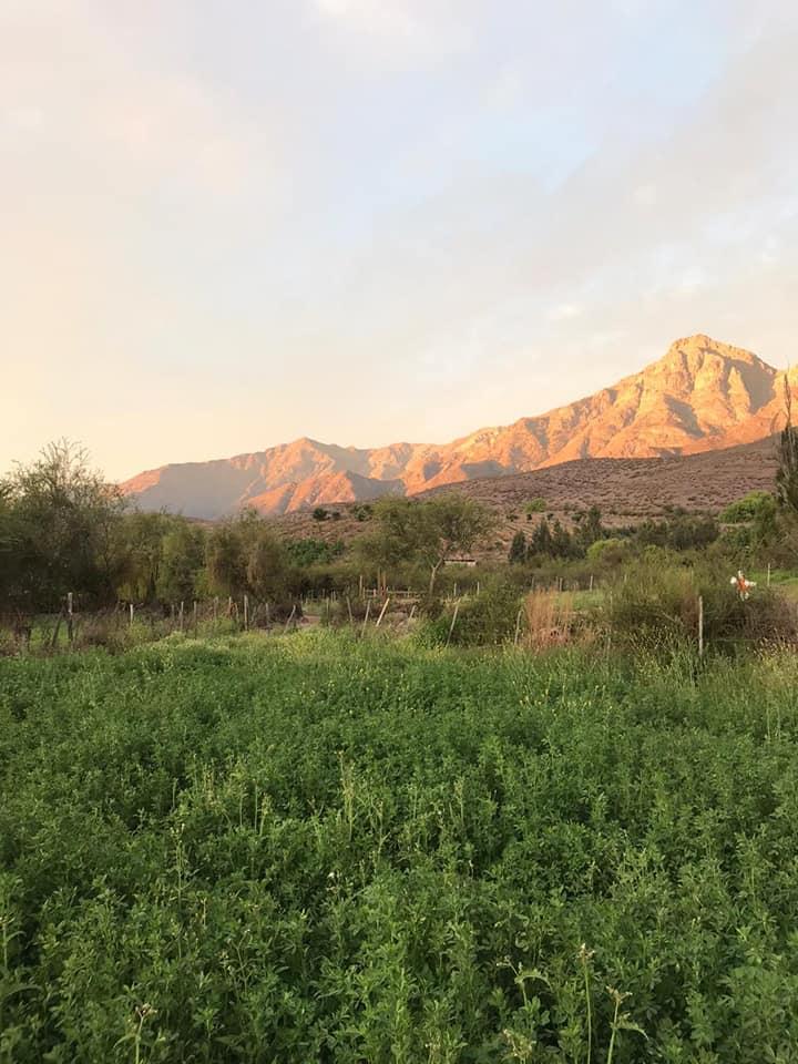 Fotografía 5 de Ven a La Posada De Quelén a disfrutar de la naturaleza en Salamanca, Coquimbo