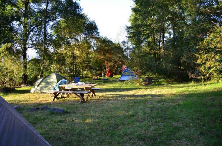 Fotografía 6 de Cabañas y Camping Nativo en Panguipulli, Los Rios