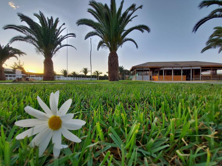 Fotografía 12 de Camping Aquaparason en La Higuera, Coquimbo