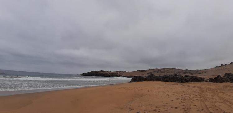 Fotografía 7 de Bahia cisnes en Caldera, Atacama