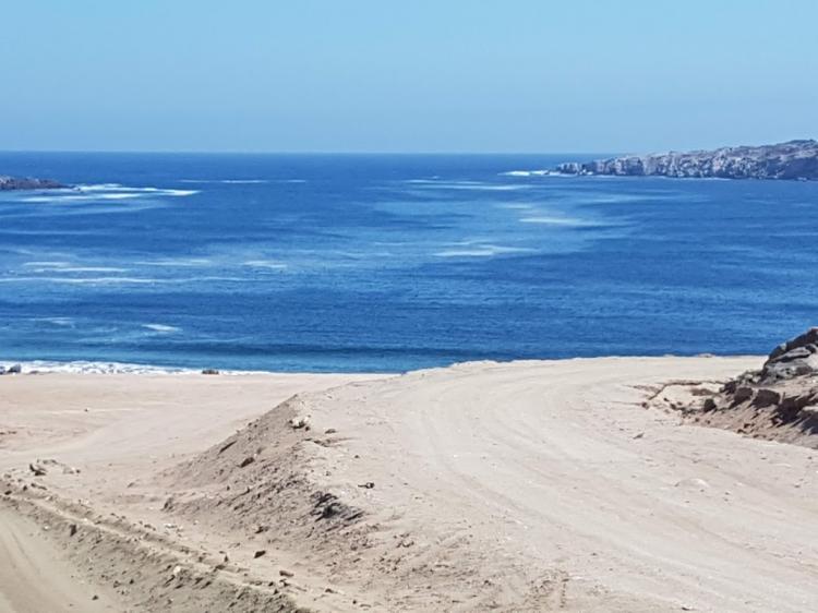 Fotografía 10 de Bahia cisnes en Caldera, Atacama