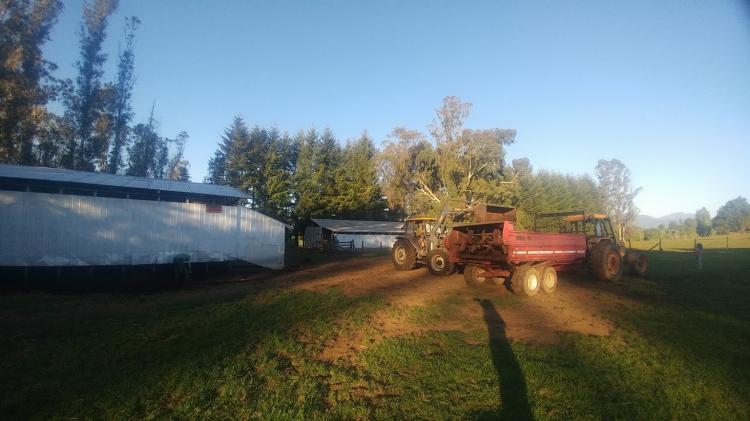 Fotografía 10 de Camping Agroturismo Tres Palmeras en Cunco, Araucania
