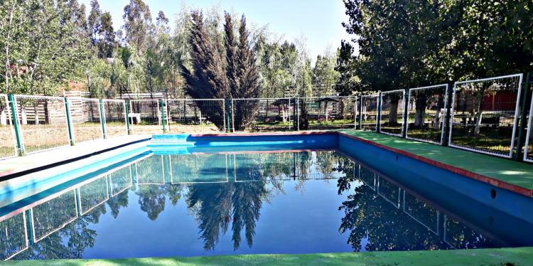 Fotografía 6 de Camping Alameda en Hualqui, Bio Bio