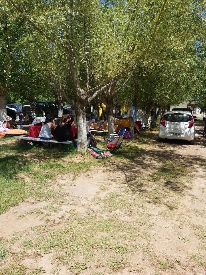 Fotografía 7 de Camping Alameda en Hualqui, Bio Bio