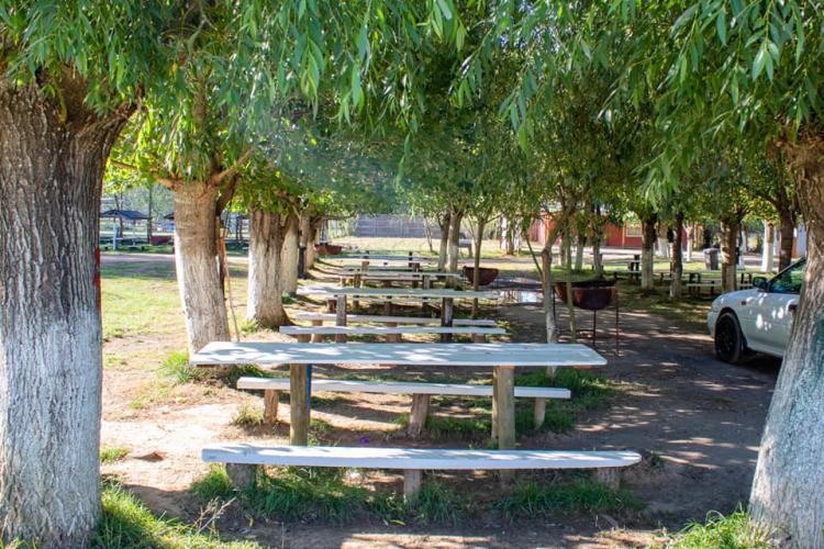 Fotografía 15 de Camping Alameda en Hualqui, Bio Bio