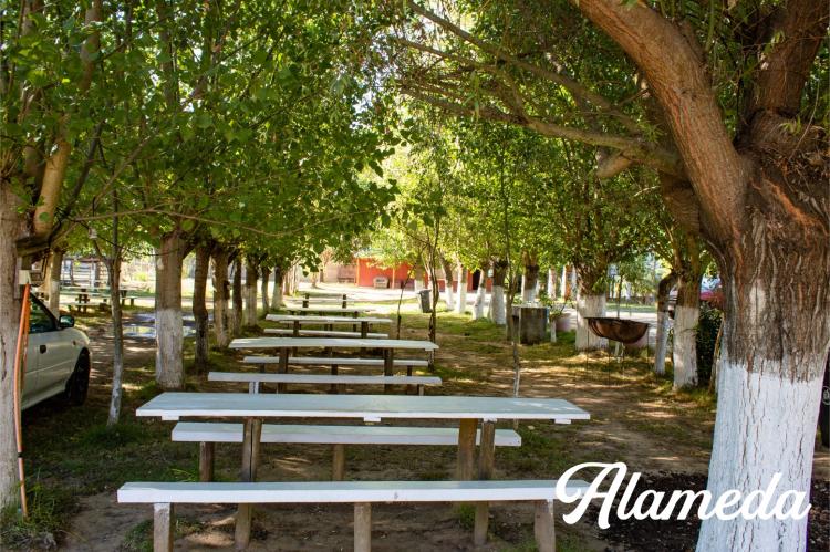 Fotografía 20 de Camping Alameda en Hualqui, Bio Bio