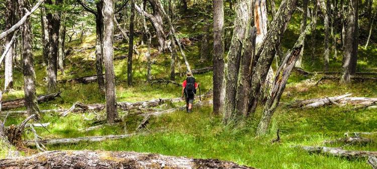 Fotografía 3 de Camping Alto Valle en Cochrane, Aysen