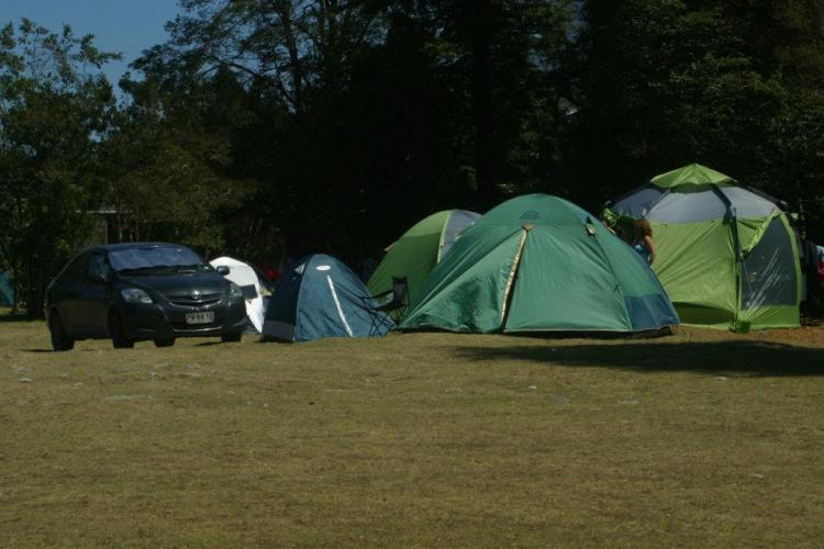 Fotografía 11 de Camping Arrayan Florido en Hualaihue, Los Lagos
